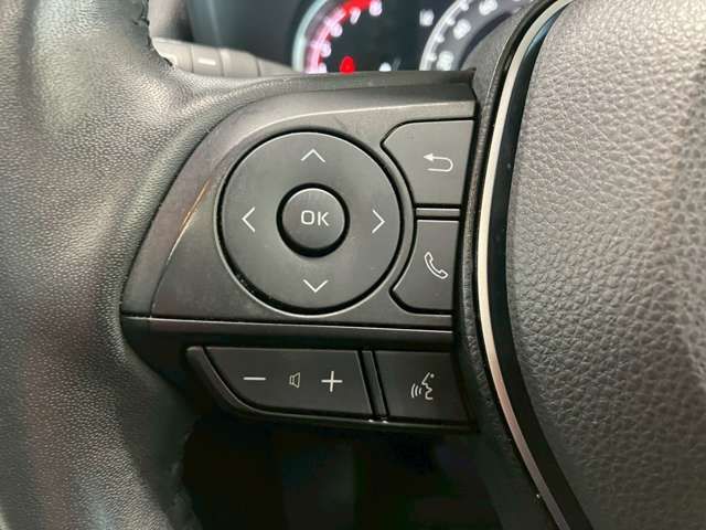 TOYOTA RAV4 4WD 2021 Image 31