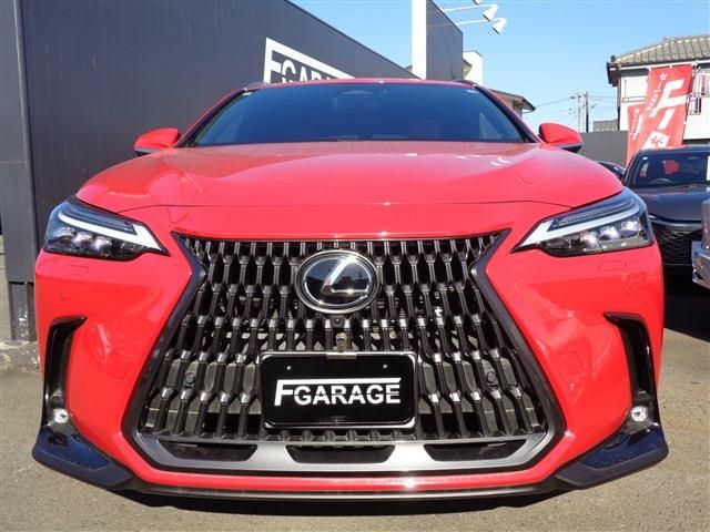 TOYOTA LEXUS NX450H+ AWD 2024 Image 31