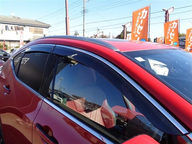 TOYOTA LEXUS NX450H+ AWD 2024 Image 31