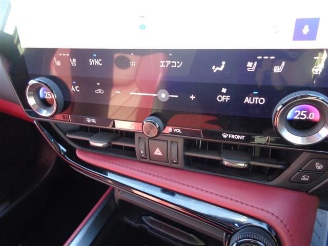 TOYOTA LEXUS NX450H+ AWD 2024 Image 31