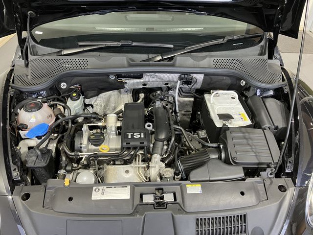 VOLKSWAGEN THE BEETL 2018 Image 31