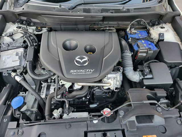 MAZDA CX-3 2016 Image 31