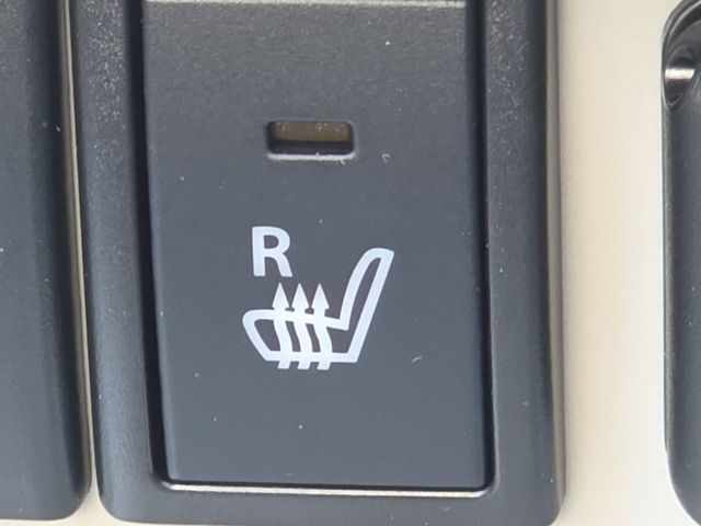 SUZUKI ALTO LAPIN 2024 Image 31