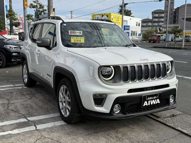 JEEP RENEGADE 2019 Image 31