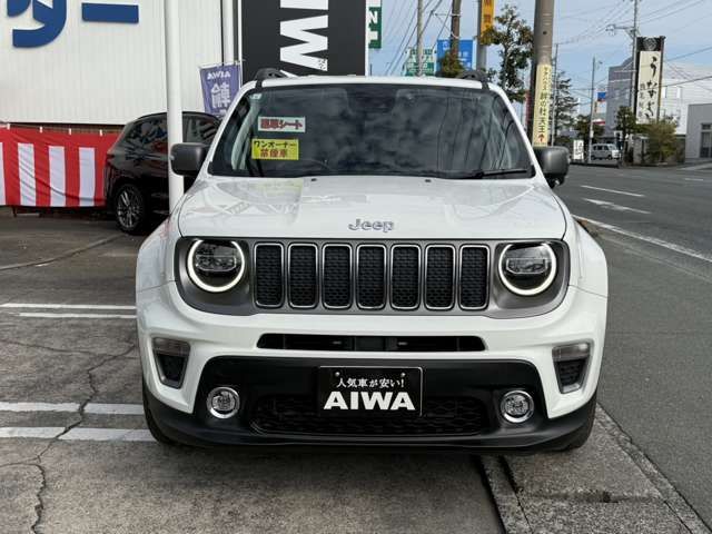 JEEP RENEGADE 2019 Image 31