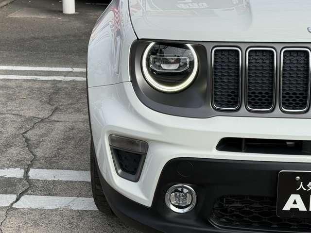 JEEP RENEGADE 2019 Image 31