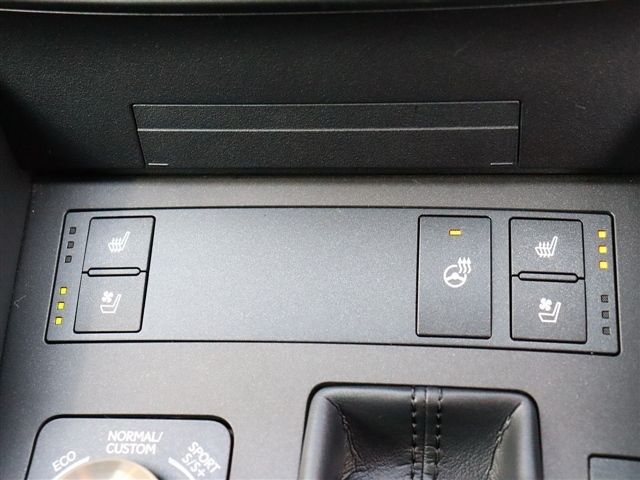 TOYOTA LEXUS RC300H 2018 Image 31