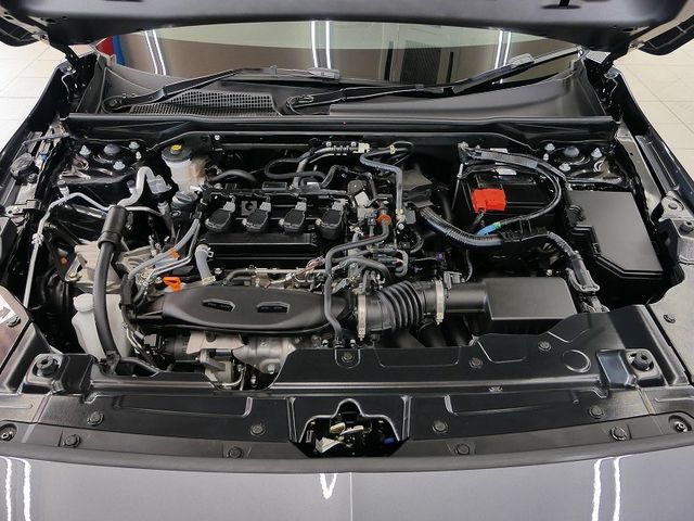 MITSUOKA M55 2024 Image 31