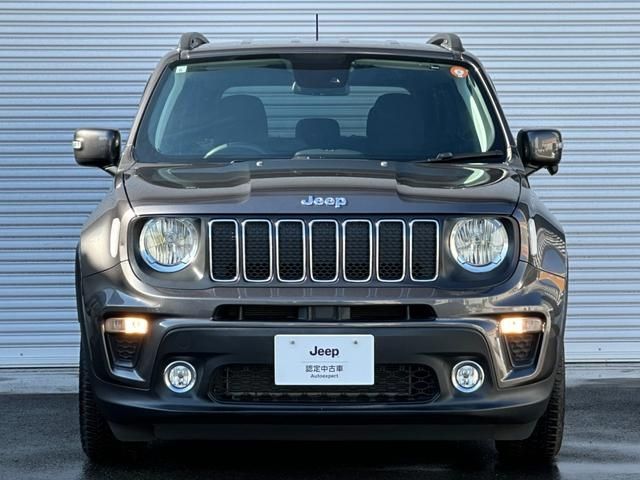 JEEP RENEGADE 2019 Image 31