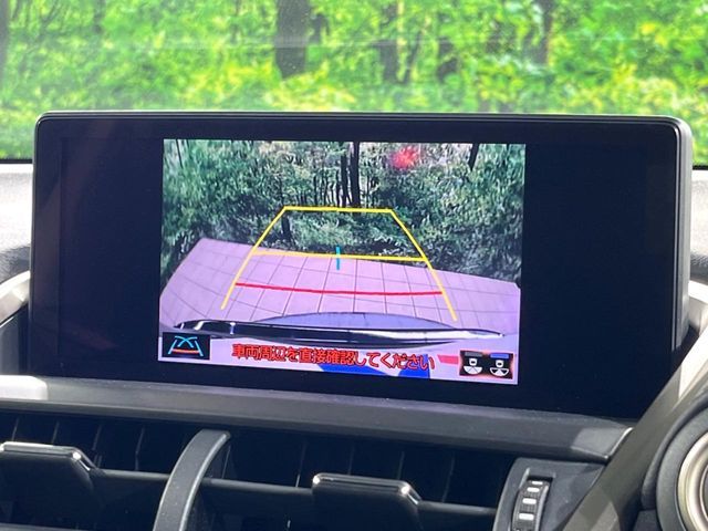 TOYOTA LEXUS NX300 2019 Image 31