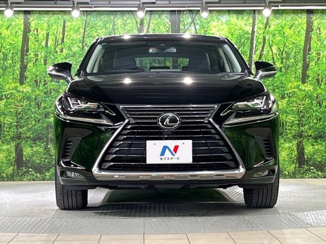 TOYOTA LEXUS NX300 2019 Image 31