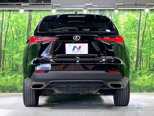 TOYOTA LEXUS NX300 2019 Image 31