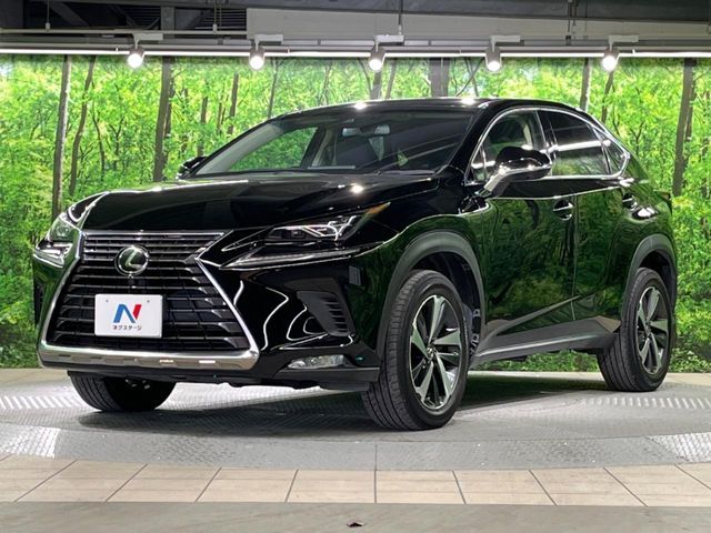 TOYOTA LEXUS NX300 2019 Image 31