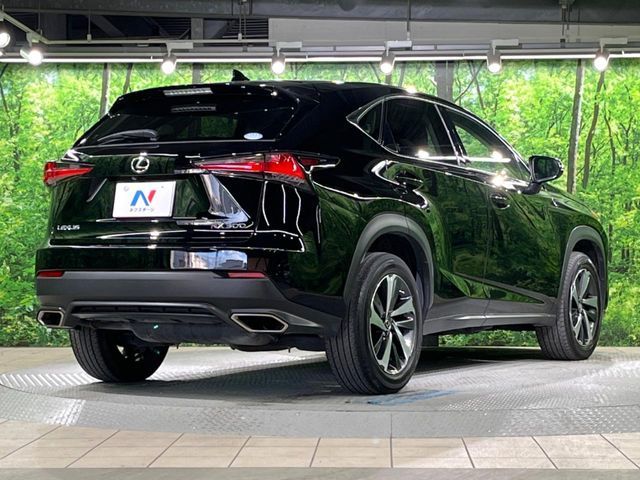 TOYOTA LEXUS NX300 2019 Image 31