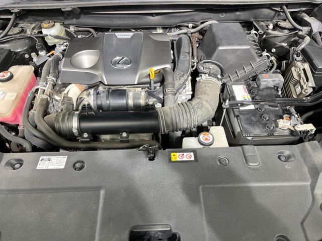 TOYOTA LEXUS NX300 2019 Image 31