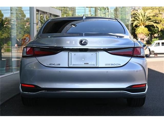 TOYOTA LEXUS ES300H 2022 Image 31