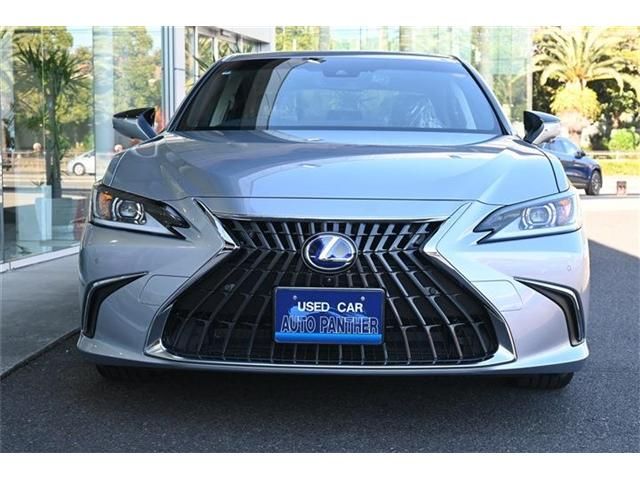 TOYOTA LEXUS ES300H 2022 Image 31