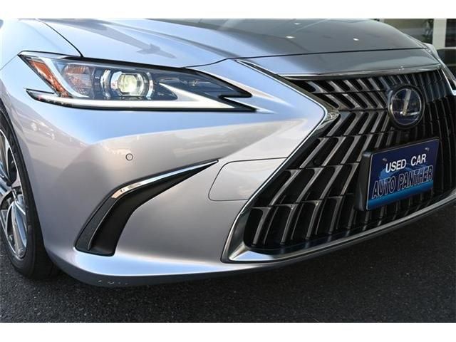 TOYOTA LEXUS ES300H 2022 Image 31