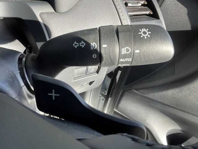 TOYOTA ALPHARD HYBRID 2024 Image 31