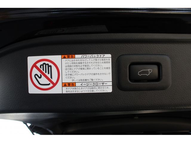 TOYOTA ALPHARD 2020 Image 31