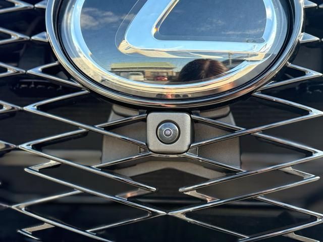 TOYOTA LEXUS NX450H+ AWD 2023 Image 31