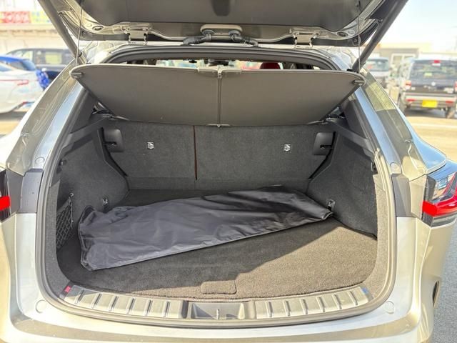 TOYOTA LEXUS NX450H+ AWD 2023 Image 31