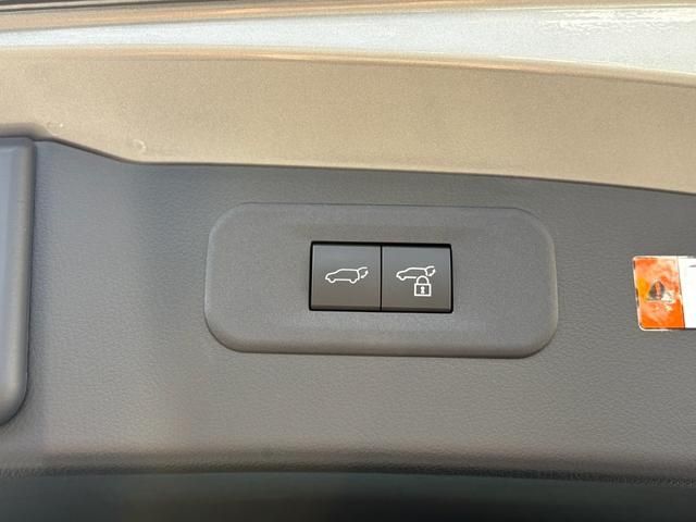 TOYOTA LEXUS NX450H+ AWD 2023 Image 31