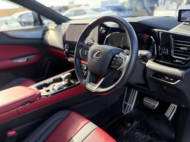 TOYOTA LEXUS NX450H+ AWD 2023 Image 31