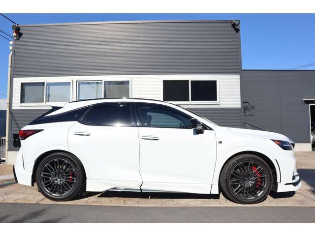 TOYOTA LEXUS RX500H 2023 Image 31