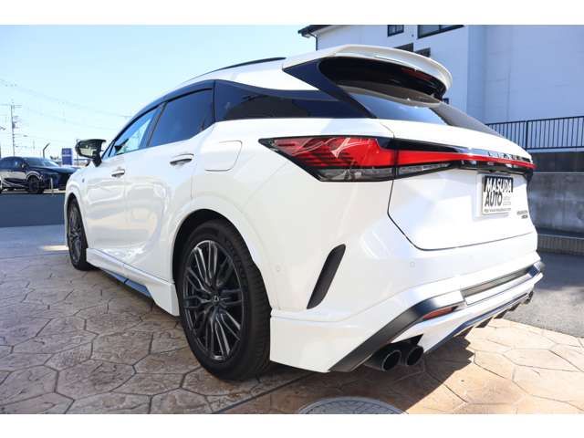 TOYOTA LEXUS RX500H 2023 Image 31