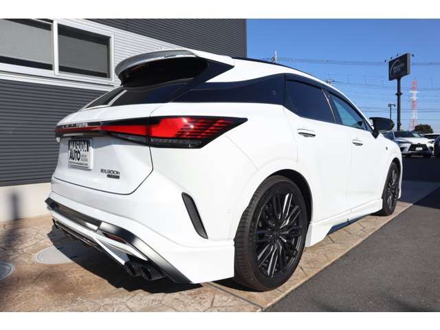 TOYOTA LEXUS RX500H 2023 Image 31