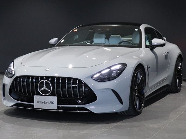 MERCEDES BENZ MERCEDES AMG GT 2025 Image 31