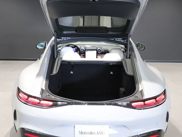 MERCEDES BENZ MERCEDES AMG GT 2025 Image 31