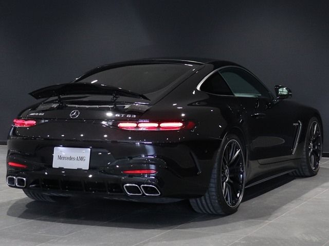 MERCEDES BENZ MERCEDES AMG GT 2025 Image 31