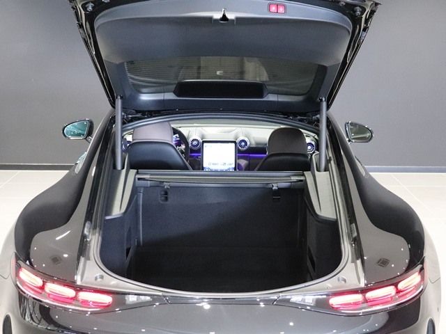 MERCEDES BENZ MERCEDES AMG GT 2025 Image 31