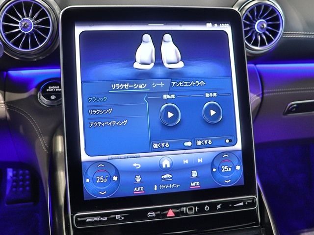 MERCEDES BENZ MERCEDES AMG GT 2025 Image 31