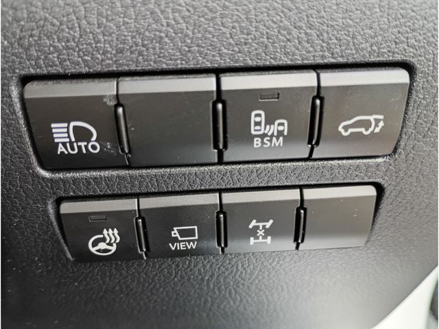 TOYOTA LEXUS NX300 AWD 2018 Image 31