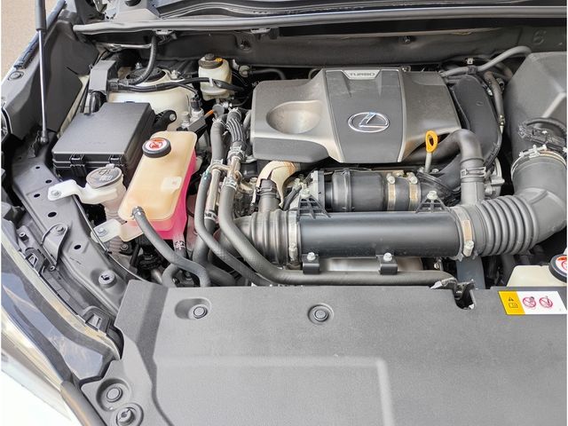 TOYOTA LEXUS NX300 AWD 2018 Image 31
