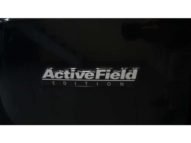 MITSUBISHI DELICA SPACE GEAR  4 2006 Image 31