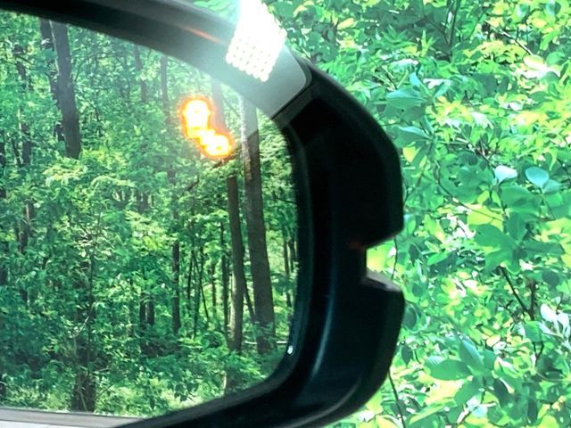 HONDA FREED E:HEV 2025 Image 31