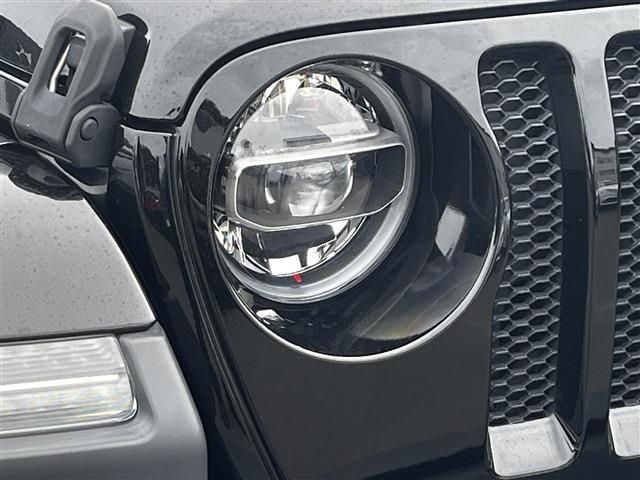 JEEP WRANGLER UNLIMI 2020 Image 31