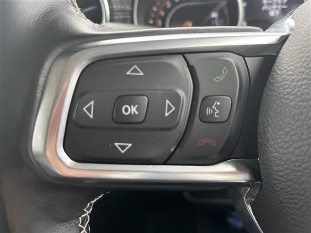 JEEP WRANGLER UNLIMI 2020 Image 31