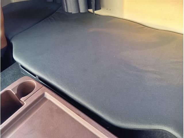 HINO PROFIA 2019 Image 31