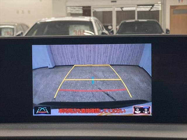 TOYOTA LEXUS NX300H 2018 Image 31