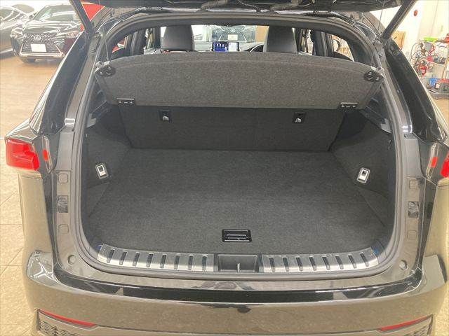 TOYOTA LEXUS NX300H 2018 Image 31