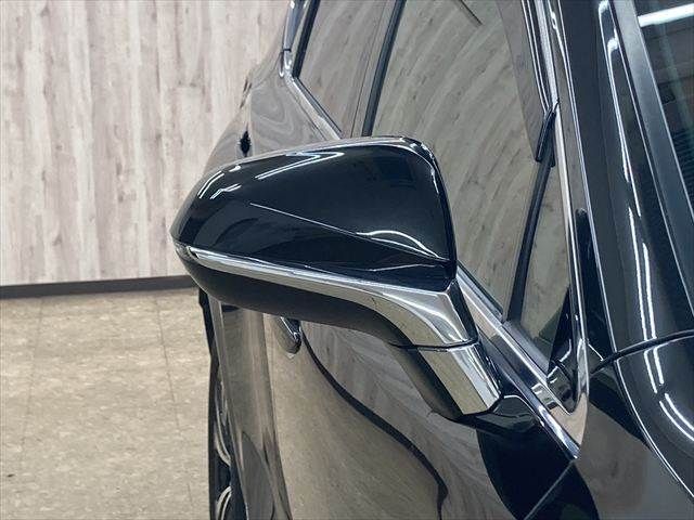 TOYOTA LEXUS NX300H 2018 Image 31