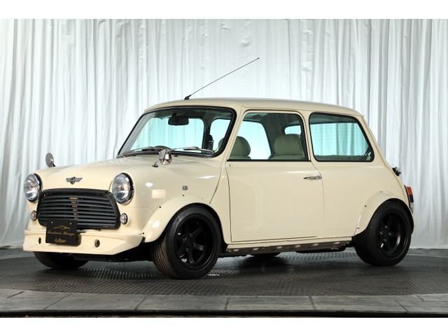 ROVER MINI 1998 Image 31