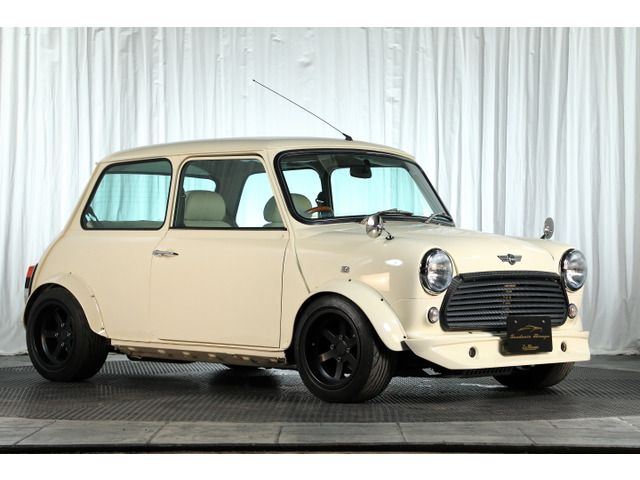 ROVER MINI 1998 Image 31