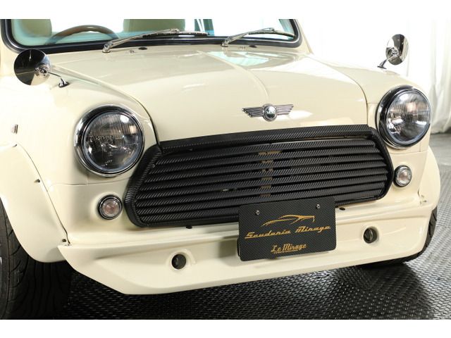 ROVER MINI 1998 Image 31