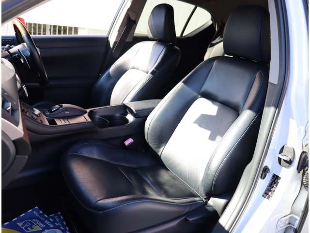 TOYOTA LEXUS CT200H 2011 Image 31